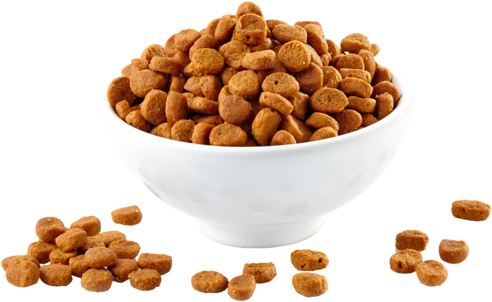 Alimento balanceado servido para perros